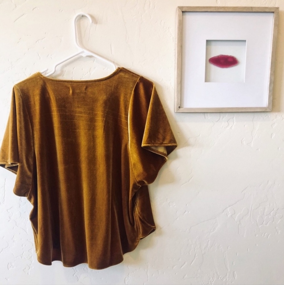 Madewell | Velvet Butterfly Top - Picture 3 of 4